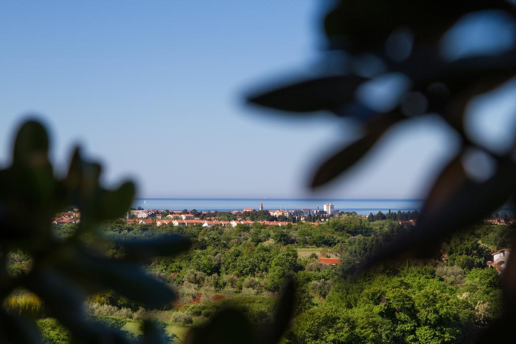 Hotel Arte Casa Murine Rom bilde